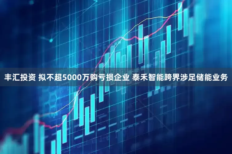丰汇投资 拟不超5000万购亏损企业 泰禾智能跨界涉足储能业务