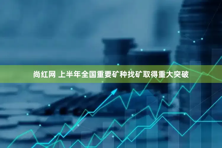尚红网 上半年全国重要矿种找矿取得重大突破