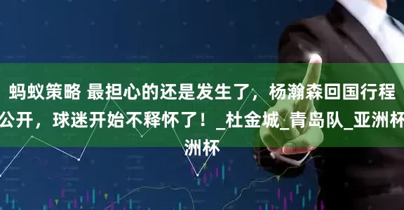 蚂蚁策略 最担心的还是发生了，杨瀚森回国行程公开，球迷开始不释怀了！_杜金城_青岛队_亚洲杯