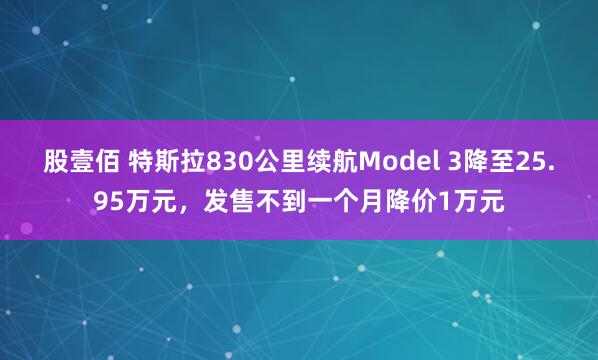 股壹佰 特斯拉830公里续航Model 3降至25.95万元，发售不到一个月降价1万元
