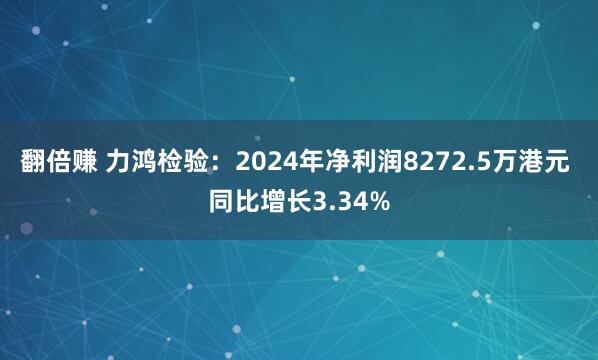 翻倍赚 力鸿检验：2024年净利润8272.5万港元 同比增长3.34%